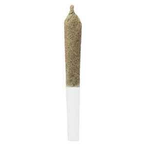 Double J's Charged - Infused Cherry Temple Pre-Roll - Hybrid - 1x0.5g