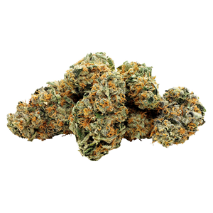 Starting Point! - Star Chase - Sativa - 28g